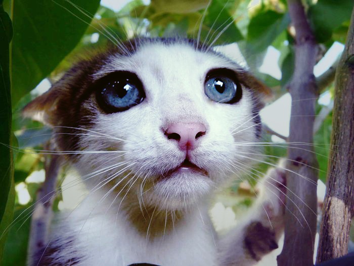 Anya Red фотография #39