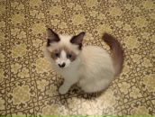 Фотография Ведерниковой Гульзады