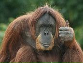 Вадік Ковальський фотография #1