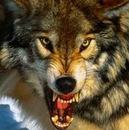 Костя Бєлий фотография #34 (источник - https://vk.com/id139567885)