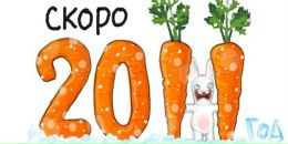 Фотография Чижовой Елизаветы