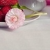 Вікуся Ковальська фотография #47 (источник - https://vk.com/id145607406)