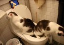 Іра Костюк фотография #10 (источник - https://vk.com/id154330109)