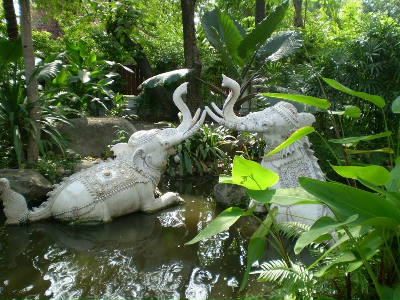 Александр Пак фотография #18