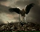 Фотография Дима Балашов