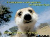 Фотография Пятыгиной Светланы