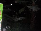 Марія Ганущак фотография #47 (источник - https://vk.com/id37388041)