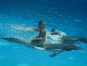 Фотография Арбениной Али