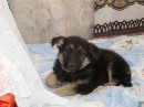 Діма Штурма фотография #41 (источник - https://vk.com/id55220686)