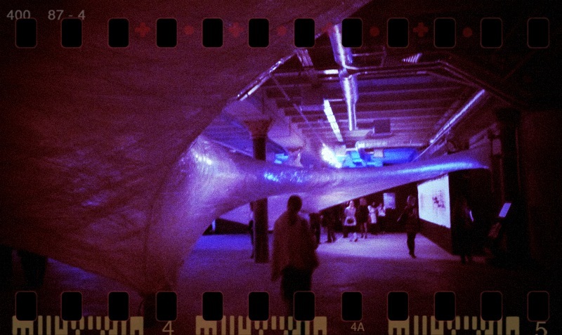 Сергей Бугаев фотография #23