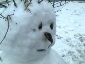 Фотография Егоровой Елены