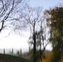 Фотография Веланской Веры