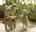 Фотография Серого Сереги