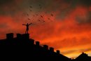 Фотография Макс Митрофанов