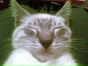 Фотография Дрынина Владимира