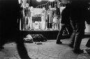 Горизонт Озкан фотография #24 (источник - https://vk.com/id165554431)