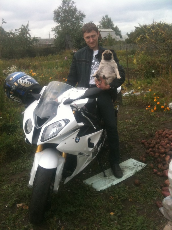 Alex Fox фотография #40