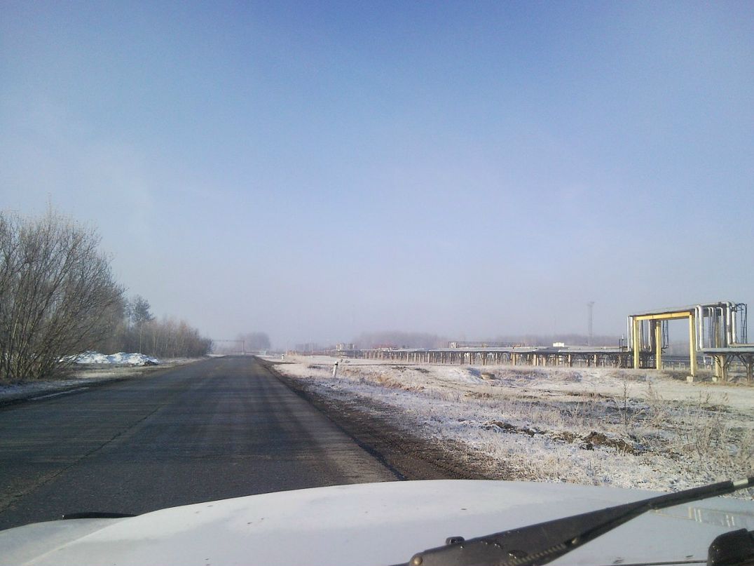Дмитрий Числавлев фотография #34