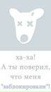Κонстантин Κузьмин фотография #12 (источник - https://vk.com/id166027155)