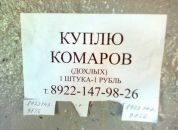 Junni :) фотография #14 (источник - https://vk.com/id141296253)