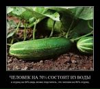 Junni :) фотография #11 (источник - https://vk.com/id141296253)