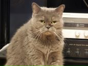 Татьяна Михалева фотография #41 (источник - https://vk.com/id997516)