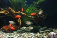 Игорь Иванов фотография #17 (источник - https://vk.com/id113980410)