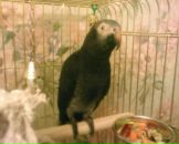 Фотография Утиной Ольги