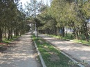 Ксенія Αртемьева фотография #25 (источник - https://vk.com/id140011755)
