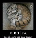 Фотография Валентина Дедурова