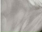 Саша Іскрицька фотография #12 (источник - https://vk.com/id73247965)