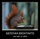 Сашуня Зарічнюк фотография #5 (источник - https://vk.com/id82680940)