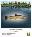 Андрій Качмарчик фотография #36 (источник - https://vk.com/id112012976)