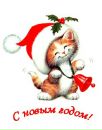 Фотография Ивановой Маришки