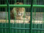 Вадим Гостєв фотография #41 (источник - https://vk.com/id104045231)