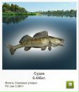 Николай Полозун фотография #9 (источник - https://vk.com/id135139321)