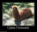 Віталій Лях фотография #46 (источник - https://vk.com/id9130346)