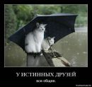 Тетяна Алєксандрова фотография #33 (источник - https://vk.com/id10524297)