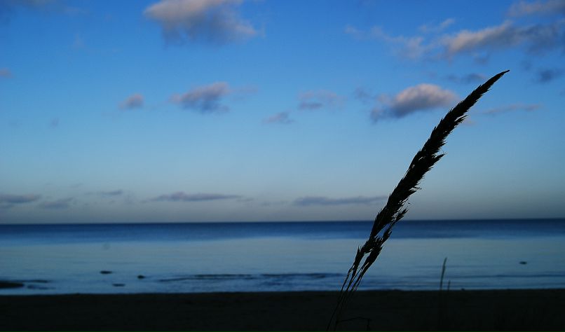 Evgeni Berzin фотография #10