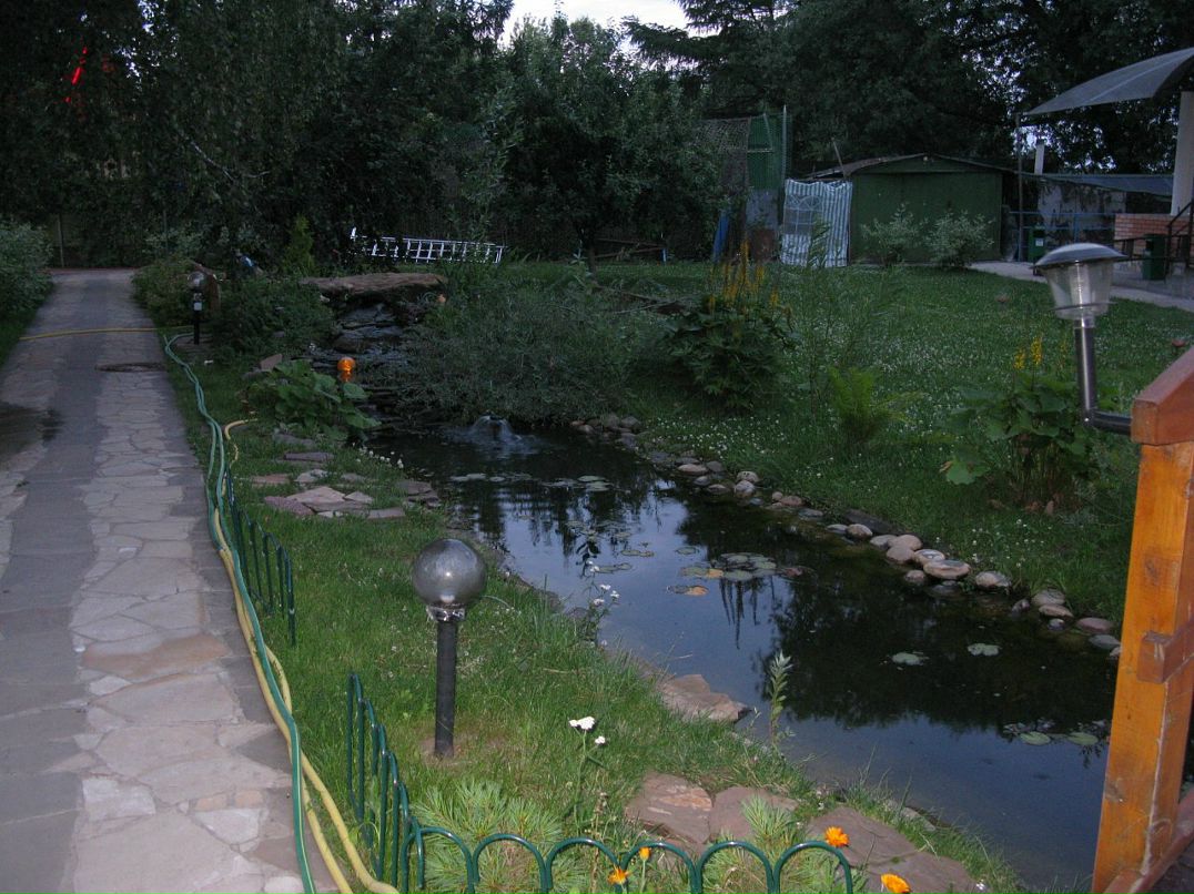 Дмитрий Ермилов фотография #37