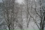 Фотография Графенковой Татьяны