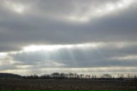 Фотография Кудяшевой Евгении