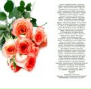 Фотография Ярман Виктории