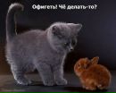 Фотография Шамес Ольги