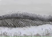 Фотография Заболотской Дины