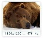 Фотография Ващенко Екатерины