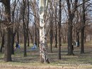 Станіслав Куделя фотография #44 (источник - https://vk.com/id123290561)