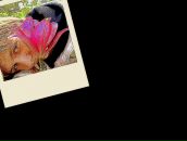 Фотография Юрьевны Киры