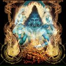 Фотография Орехова Кирилла