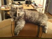 Фотография Насыбуллиной Гульнары